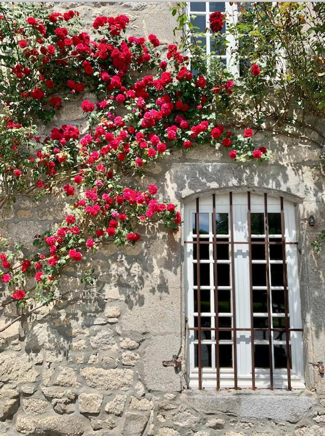 Chateau De La Borde A Ussel, Centre-Ville, Proche Autoroute A89 Ussel  Exterior foto